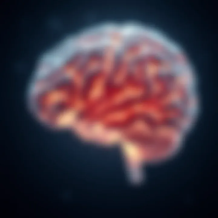 Illustration depicting the brain activity during sleep deprivation