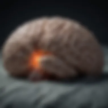 Brain Activity in Sleep Deprivation A visual representation of brain activity during sleep deprivation.