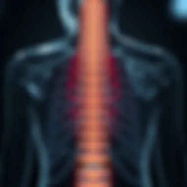 Diagram illustrating the mechanism of spinal cord stimulation