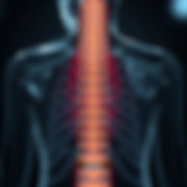 Diagram illustrating the mechanism of spinal cord stimulation