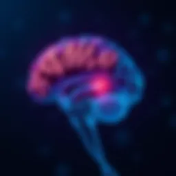 Illustration depicting the brain with tDCS electrodes