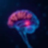 Transcranial Direct Current Stimulation Electrode Placement Illustration depicting the brain with tDCS electrodes