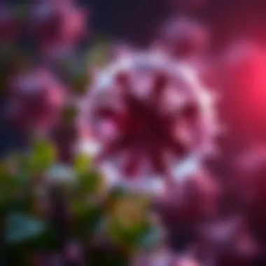 Environmental impacts on autism development