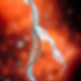 Genetic factors influencing autism spectrum disorder