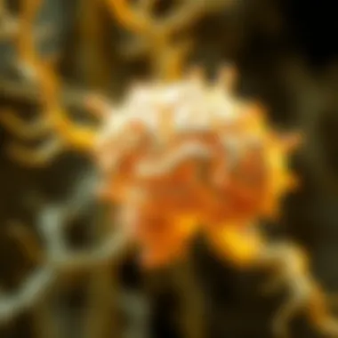 Neurobiological aspects of autism spectrum disorder