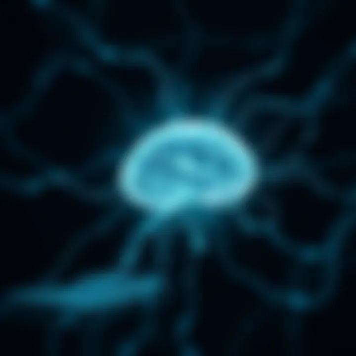 Exploring the Connection Between Reading and Memory Enhancement Summary