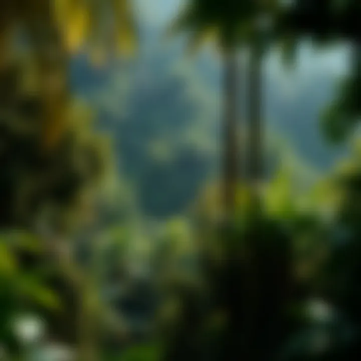 Biodiverse Rainforest Ecosystems Lush rainforest teeming with biodiversity