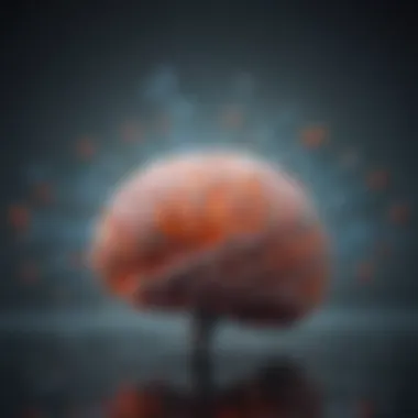 Neurotransmitter Functions in ADHD Diagram illustrating neurotransmitter functions in ADHD
