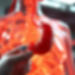 Biological mechanisms of weight loss injections