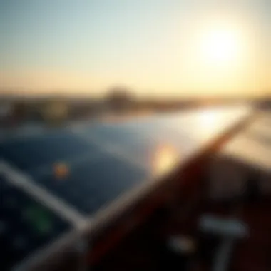 Harnessing Sunlight: A Rooftop Perspective Solar panels harvesting sunlight on a rooftop