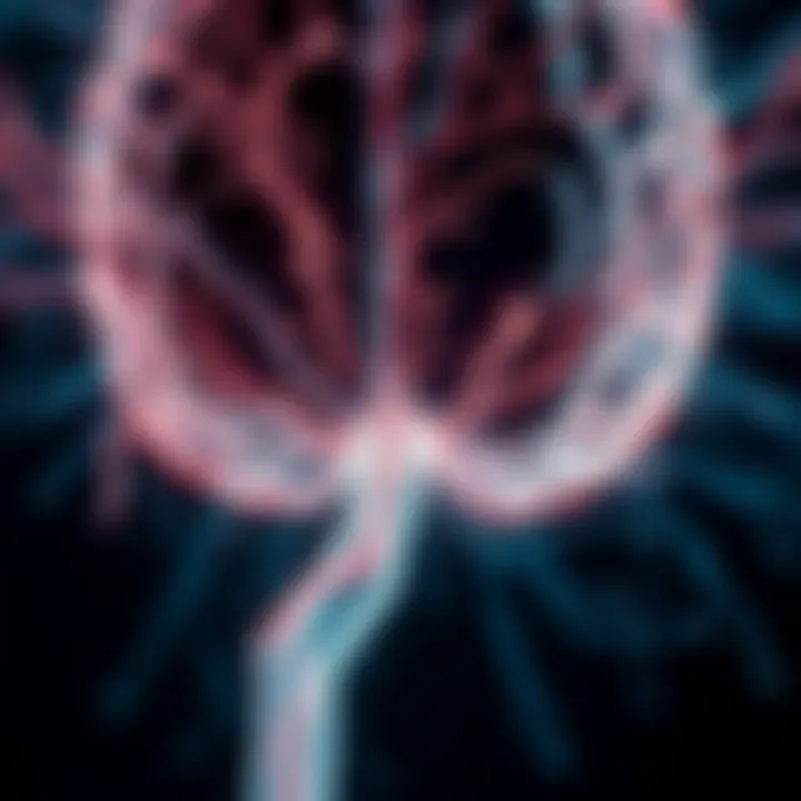 Neural Pathways: The Mechanisms of Memory Neural pathways representing memory recall