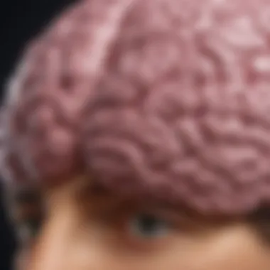 Melatonin Effects on the Brain Visual explanation of melatonin's effects on the brain
