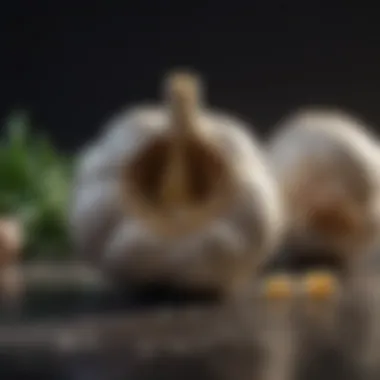 A visual representation of the antimicrobial properties of garlic