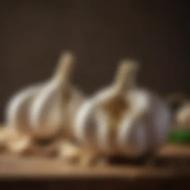 Nutritional Benefits of Garlic An infographic illustrating garlic's nutritional benefits