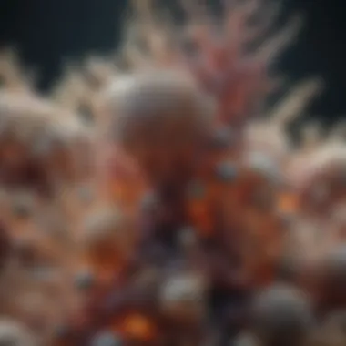 Large Microbial Colony Under Microscope A close-up view of a large microbial colony under a microscope