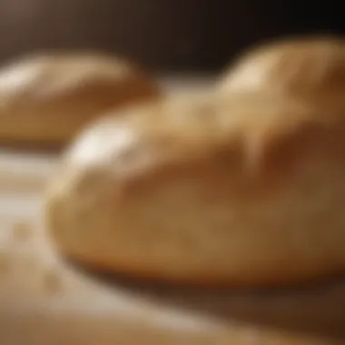 Yeast Activity in Dough Rising Yeast activity in dough rising
