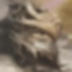 Detailed fossil specimen showcasing intricate structures.