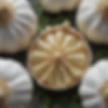 Illustration of garlic's active compounds at a cellular level