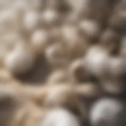 Close-up of garlic cloves with a scientific background