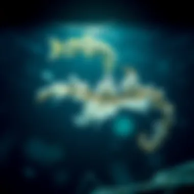 Notable Harnessing Ocean Resources for Renewable Energy: An In-Depth Exploration Notable Harnessing Ocean Resources for Renewable Energy: An In-Depth Exploration