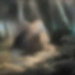 A vibrant forest representing natural carbon sinks