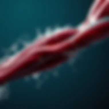 The Role of Hydration in Muscle Health Visual representation of hydration effects on muscles