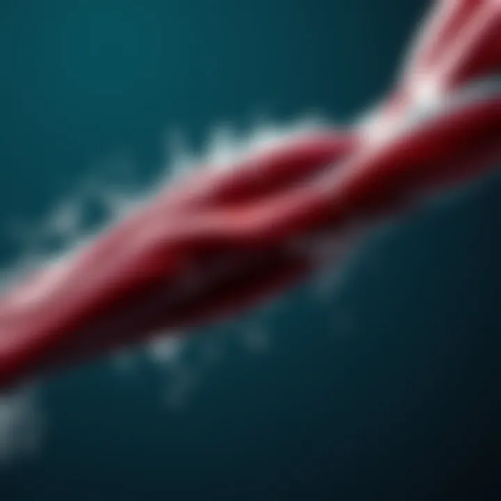 The Role of Hydration in Muscle Health Visual representation of hydration effects on muscles