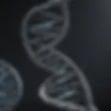 A detailed representation of a DNA double helix