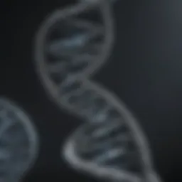 A detailed representation of a DNA double helix