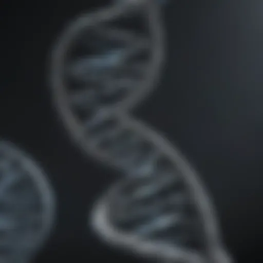 A detailed representation of a DNA double helix