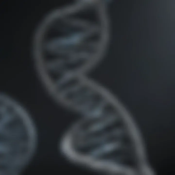 A detailed representation of a DNA double helix