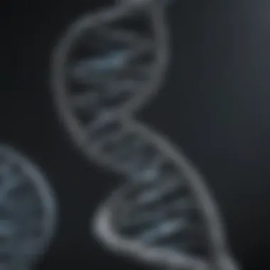 DNA Double Helix Structure A detailed representation of a DNA double helix