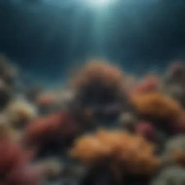 Marine Biodiversity Deep ocean view emphasizing marine life diversity