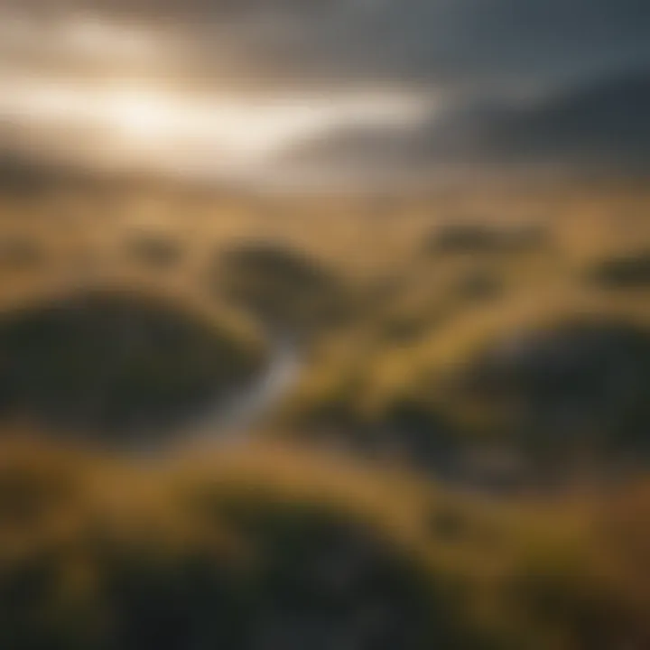 Vast grassland landscape highlighting ecological balance