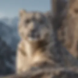 A majestic snow leopard perched on a rocky ledge, symbolizing the beauty of endangered wildlife.