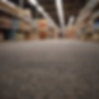 Market Insights: The Rise of Sustainable Carpeting Solutions Market trends in sustainable carpeting industry