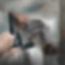 A serene bedroom environment promoting restful sleep