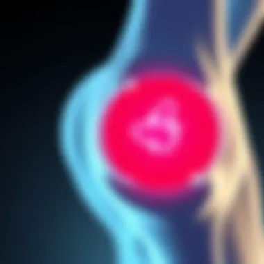 Physiological Factors in Cartilage Health Graphical representation of physiological factors in cartilage health