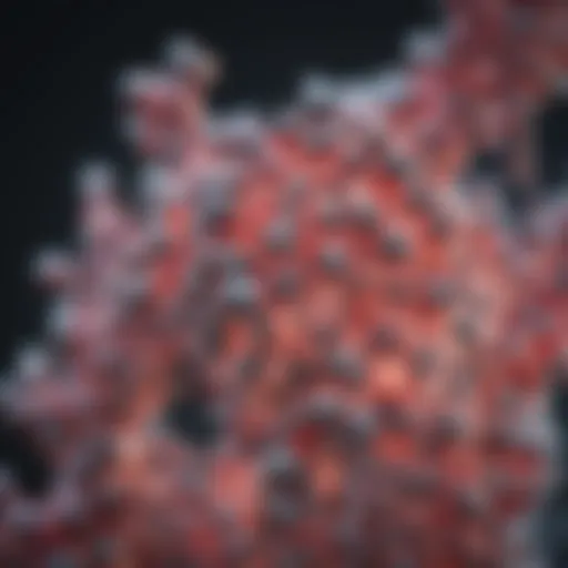 Molecular structure of lactic acid