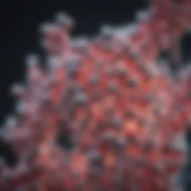 Molecular Insights into Lactic Acid Molecular structure of lactic acid