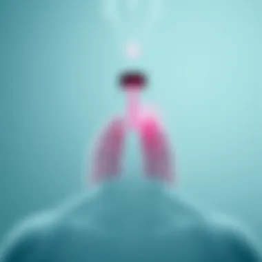 Visualization of the inhaler's impact on respiratory health