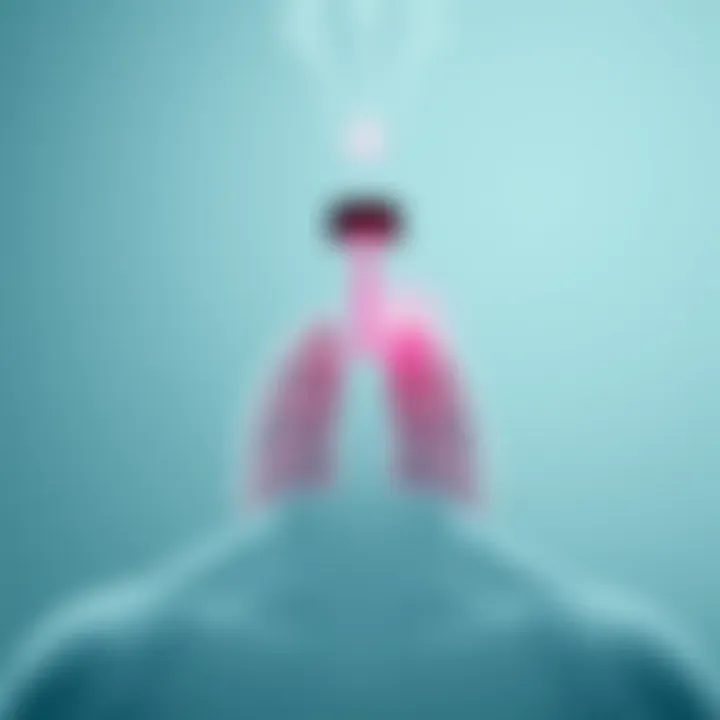 Visualization of the inhaler's impact on respiratory health