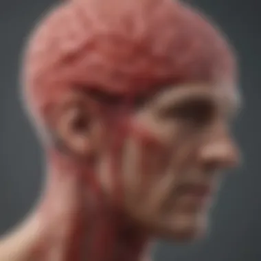 Effects of Poor Blood Flow in the Brain Diagram illustrating the effects of poor blood flow in the brain