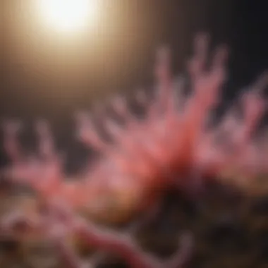 Innovative Treatments from Microbiome Research Conceptual image representing potential treatments stemming from microbiome research