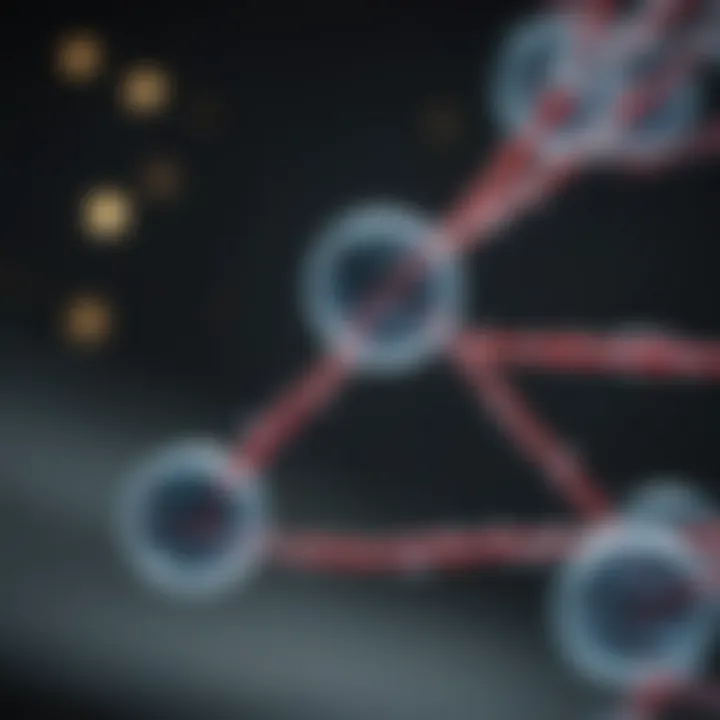 Illustration of molecular interactions influenced by RT-PCR timing