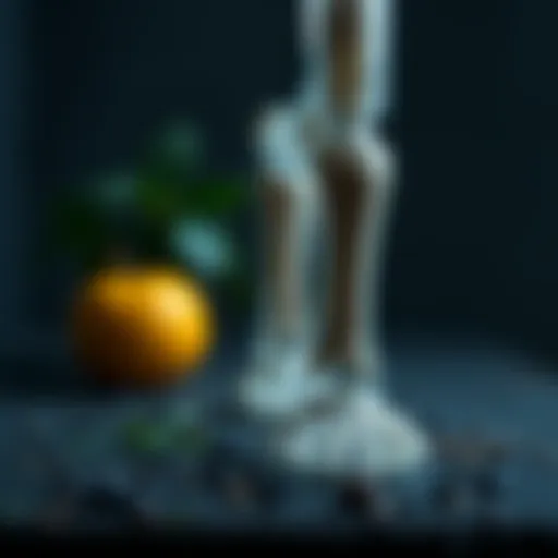 Natural Approaches to Reversing Osteopenia Introduction
