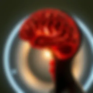 Neurology and Brain Scanning Techniques: A Comprehensive Exploration Summary Neurology and Brain Scanning Techniques: A Comprehensive Exploration Summary