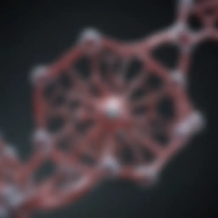 Molecular structure of Nicotinamide Mononucleotide