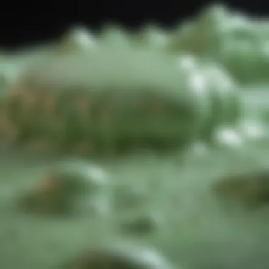 Close-up of oobleck showcasing its viscous texture and consistency