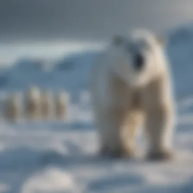 Arctic landscape with diminishing sea ice